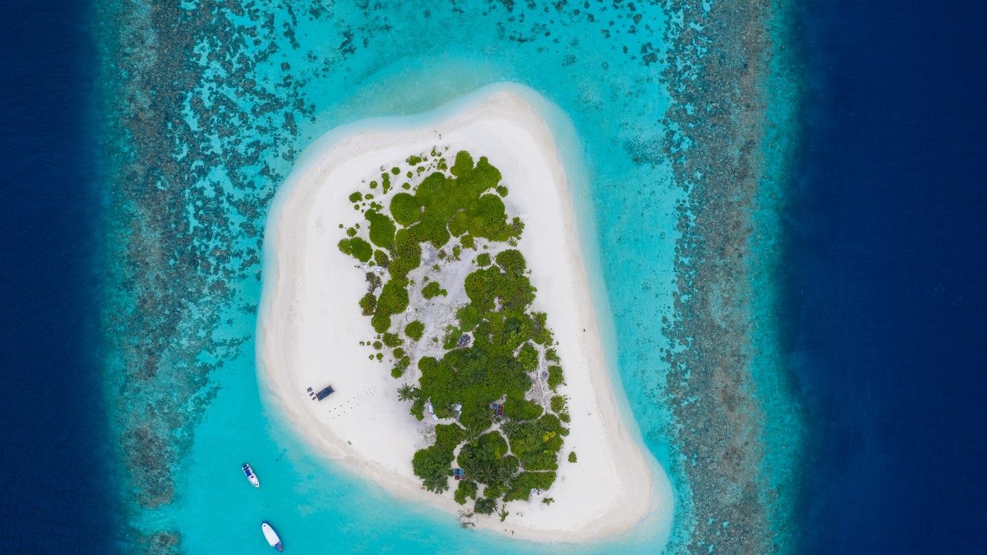 A sandbank from the air: a ring of white sand in open water, edged by reef.