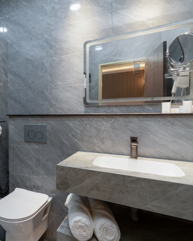 The private bathroom with its walk-in shower and stone vanity.